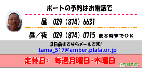 \029-874-0715^029-874-66313O܂E[OK!<yoyaku@tamayaboat.com>